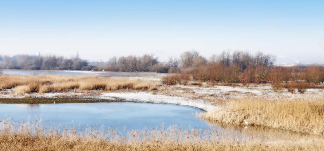 Gezinskamer Van Waard Van Kekerdom Kültér fotó